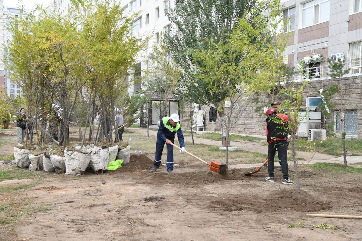 Тысячи деревьев и кустарников посадили жильцы многоэтажек и волонтеры в столичном районе Есиль