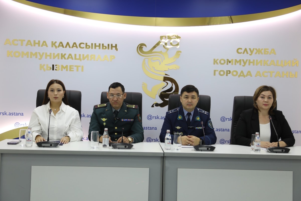 В каждом четвертом случае причиной становилась москитная сетка: в Астане предупредили об опасности падения детей из окон
