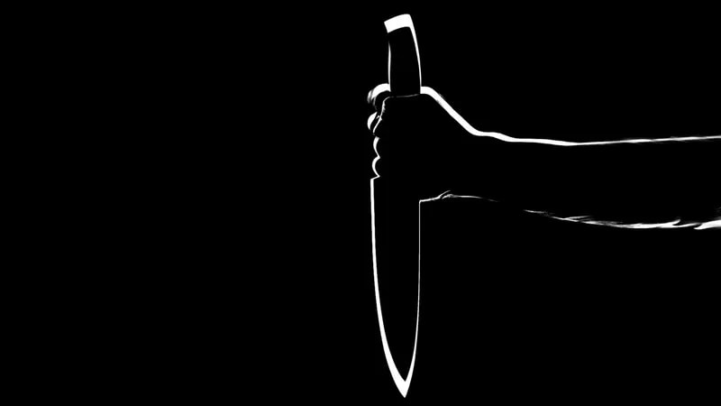 Нанес удары ножом и сбежал: 56-летний мужчина устроил кровавую расправу близ Алматы